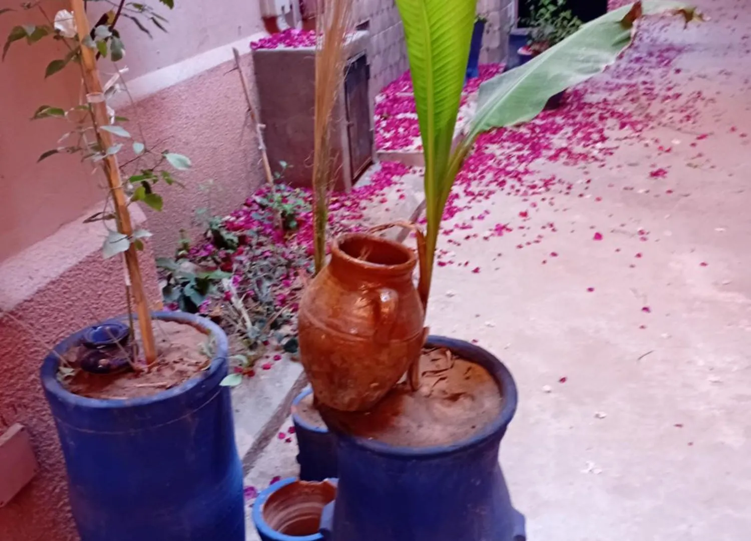 Homestay Riad Le Shams Marrakesh