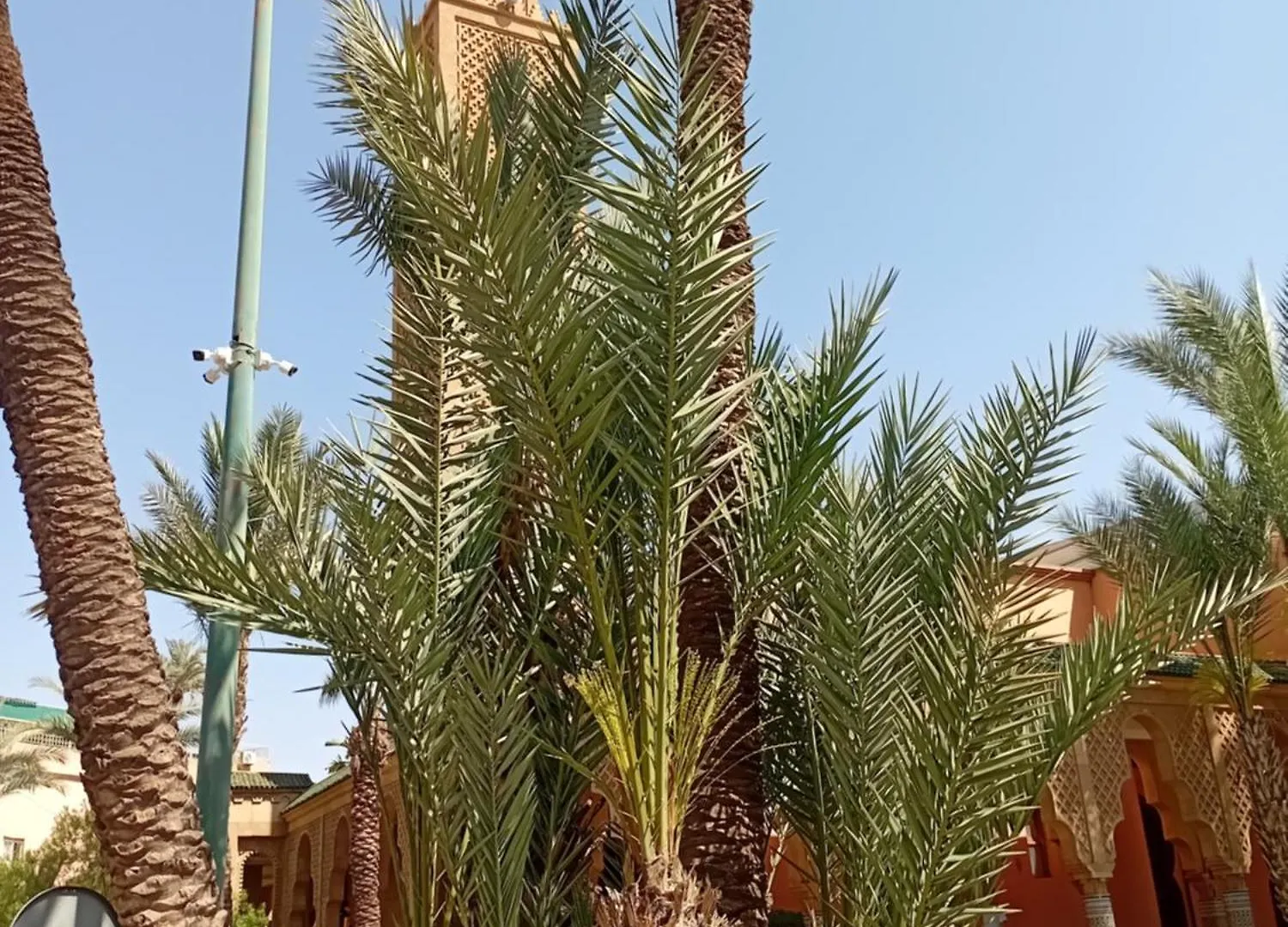 Riad Le Shams Marrakesh Morocco